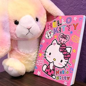 hello kitty spiral notebook ♡